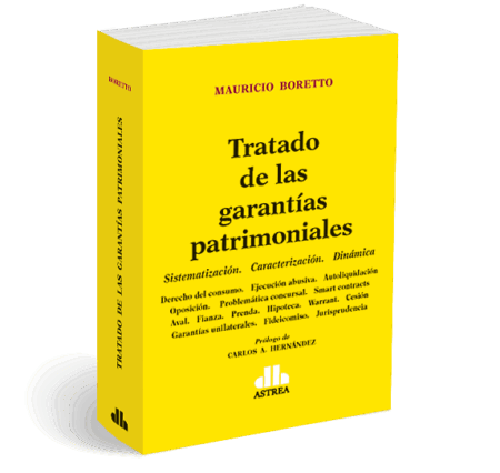 Tratado de las garantías patrimoniales -  BORETTO, Mauricio